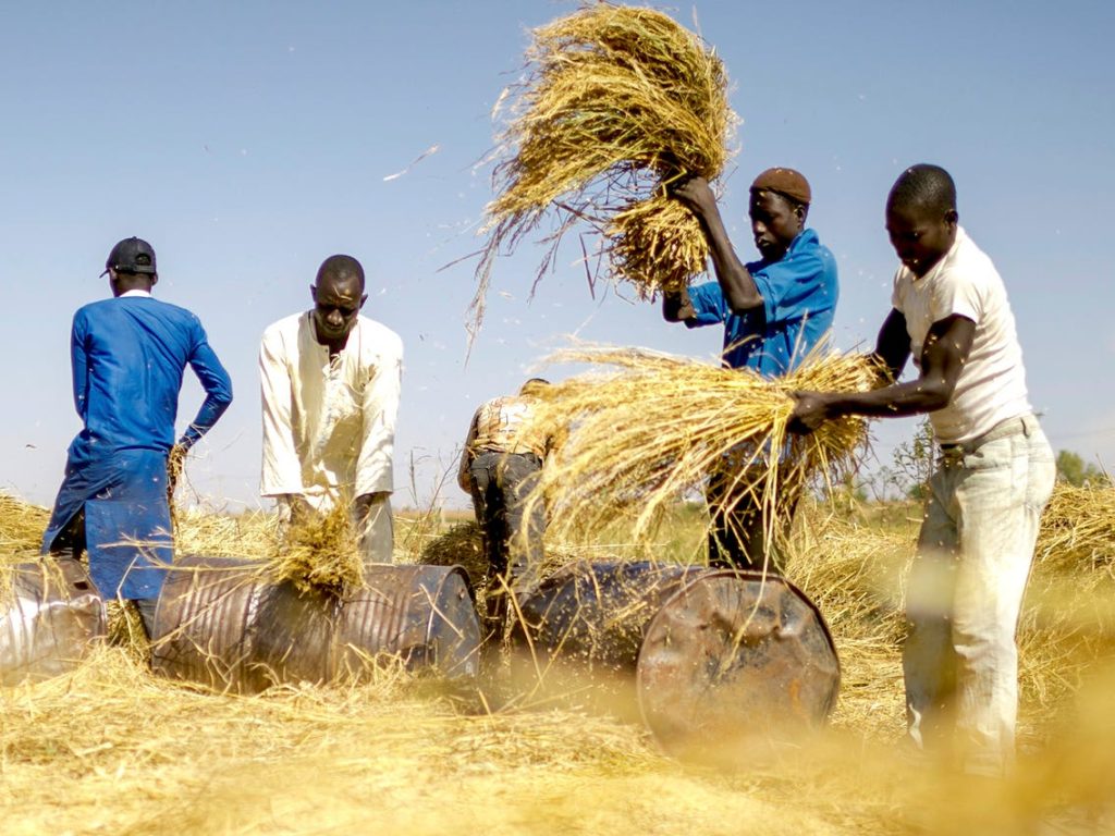 FG Distributes Inputs to Enugu Farmers
