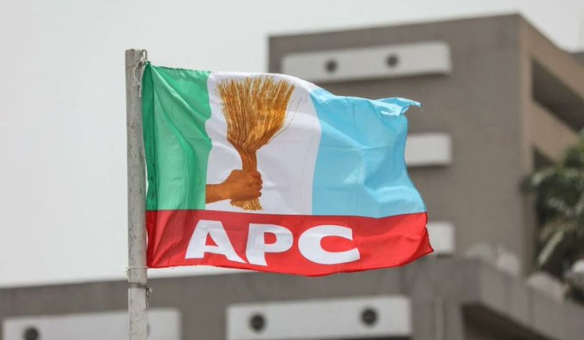 How NNPP used thugs to intimidate, attack and disenfranchise our supporters – Kano APC