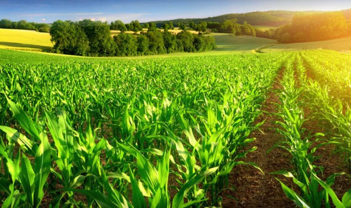 NALDA and River Basin Authority Partnership to Boost Agriculture