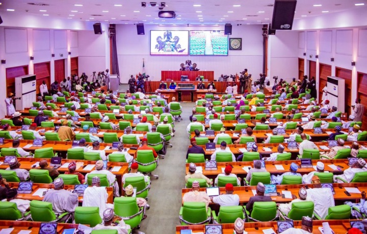 Reps to Summon CBN, BOI Over Financing