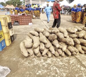 Cultural buoyancy: Isu Ava/Iri ji ovuu: Celebration of heritage, friendship, tourism in Uburu, Ebonyi community