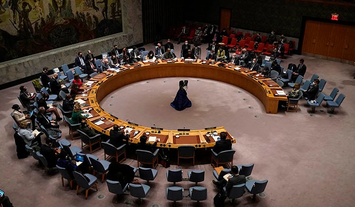 Nigeria deserves UN Security Council seat