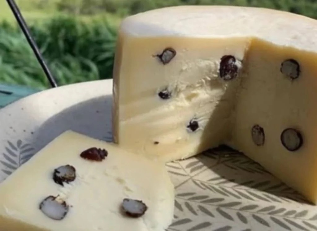 Brazilian cheese mixed with ants gains massive popularity