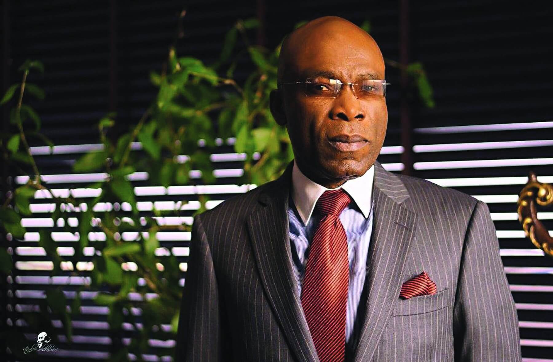 Leo Stan Ekeh: Igniting prosperity through digital interventions