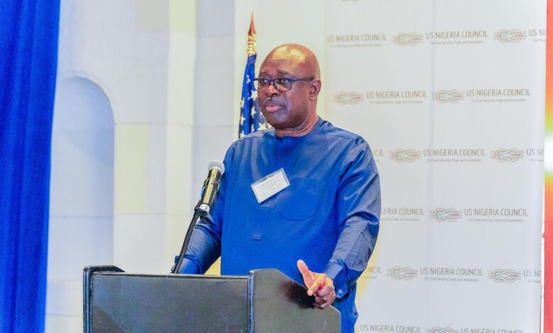 Lokpobiri Urges Caution on Fossil Fuels