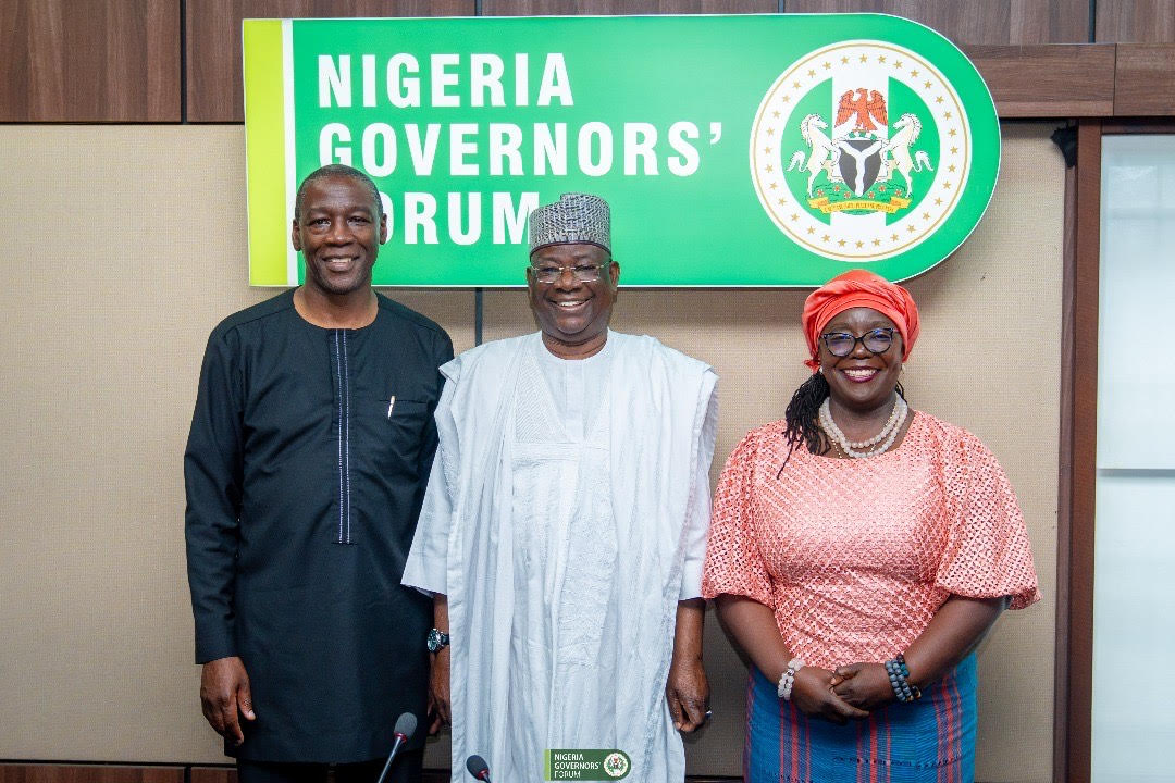 NGF, UNDP strengthen alliance to boost investment, growth in states