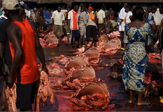 Taraba Government Launches Meat Handling Training