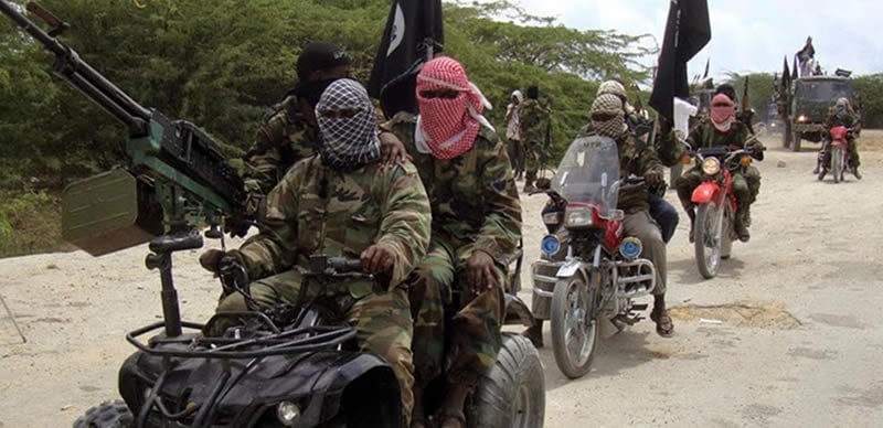 Boko Haram kills four soldiers, injures five in Borno